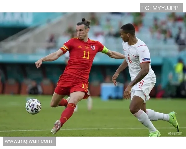 法国与威尔士激战正酣比分揭晓精彩瞬间回顾