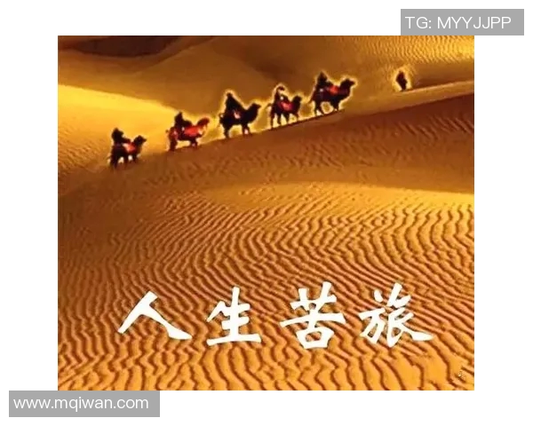 飞盘追梦：王军如何在激情与挑战中塑造人生旅程