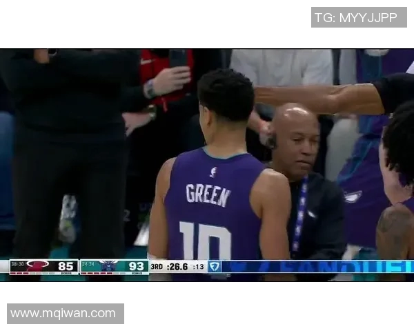 2004年NBA季后赛热火对阵黄蜂精彩录像回顾与分析