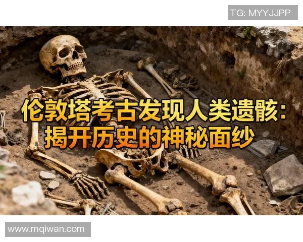 探索摩尔特里的魅力与秘密揭开这座城市的历史与文化面纱 探索摩尔特里的魅力与秘密揭开这座城市的历史与文化面纱